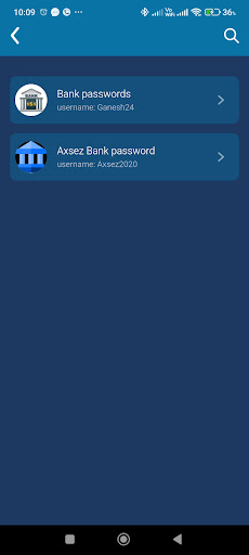 Secure Password Manager ekran görüntüsü