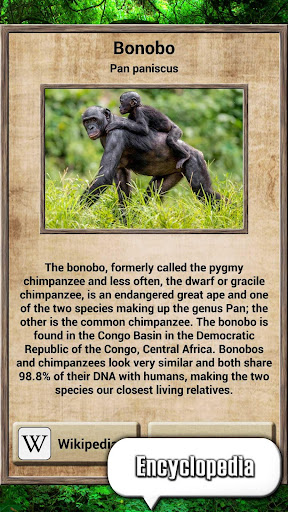 Animal Kingdom - Quiz Game ekran görüntüsü