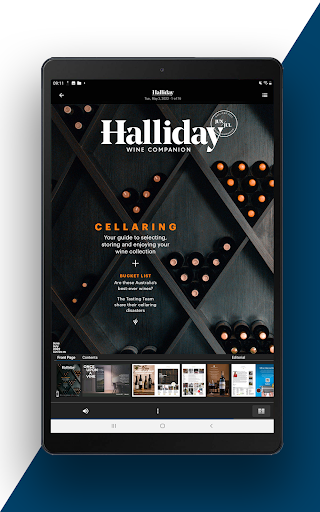 Halliday Magazine ekran görüntüsü