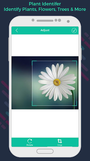 Plant Lens -  Plant Identifier ekran görüntüsü