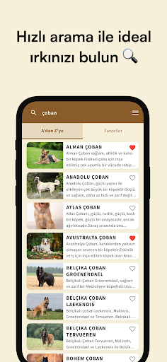Köpek Irkları Rehberi ekran görüntüsü