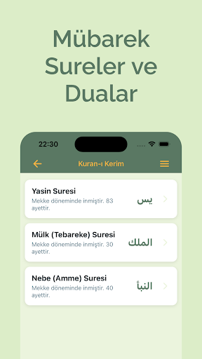 Zikirmatik Pro: Dijital Tesbih ekran görüntüsü