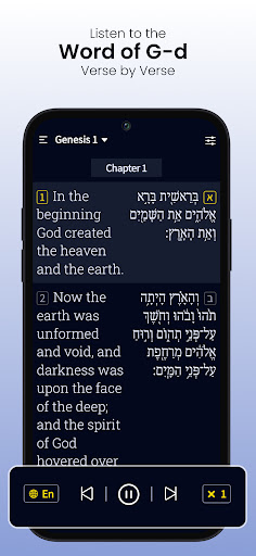 Hebrew Bible Study Translation ekran görüntüsü