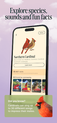 Birdbuddy: ID & Collect Birds ekran görüntüsü