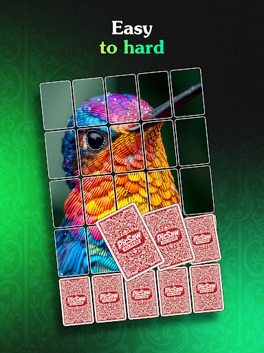 Picsaw Solitaire Puzzle Game ekran görüntüsü