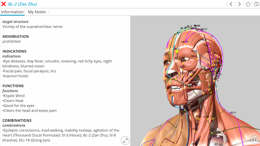 Visual Acupuncture 3D ekran görüntüsü