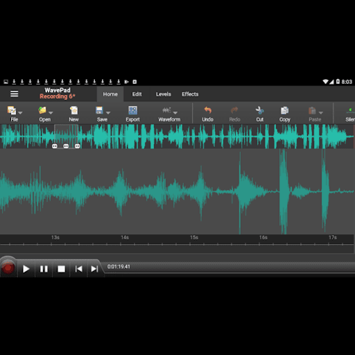 WavePad Master's Edition ekran görüntüsü