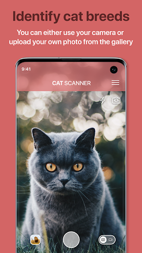 Cat Scanner: Breed Recognition ekran görüntüsü