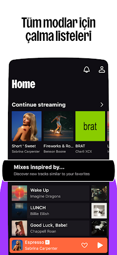 Deezer: müzik indirme programı ekran görüntüsü
