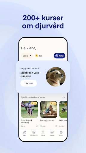 Lassie ekran görüntüsü