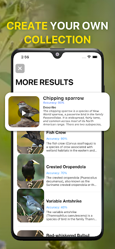 Bird Sound Identifier Bird ID ekran görüntüsü