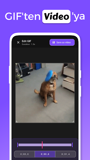 Video'dan GIF & GIF Yapıcı ekran görüntüsü