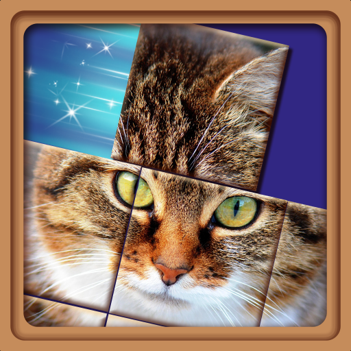 XPicture LF