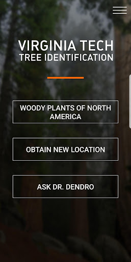 Virginia Tech Tree ID ekran görüntüsü