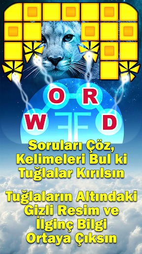 Kelime Oyunu WFF - Bulmaca ekran görüntüsü