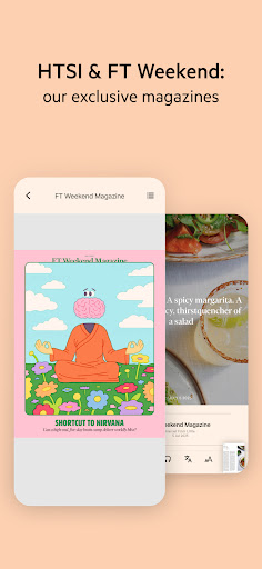 FT Digital Edition ekran görüntüsü