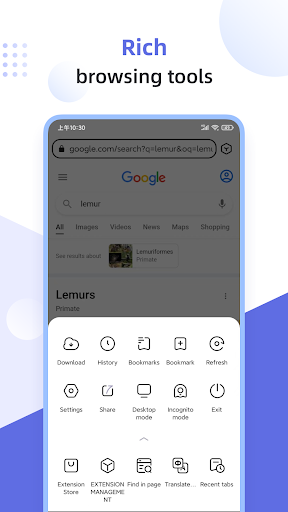 Lemur Browser - Extensions ekran görüntüsü