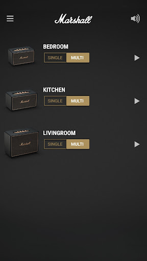 Marshall Multi-Room ekran görüntüsü