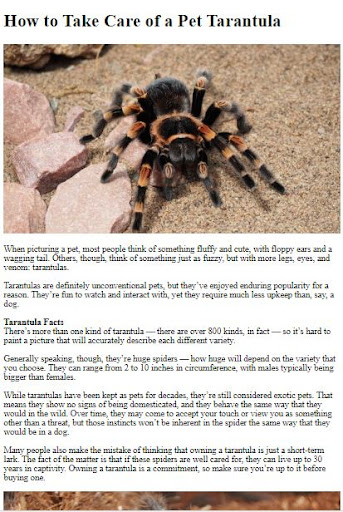 Pet Tarantula Care Guide ekran görüntüsü