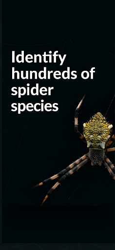 Spider Identifier Spider ID ekran görüntüsü