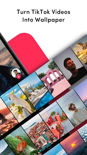 TikTok Live Wallpaper ekran görüntüsü
