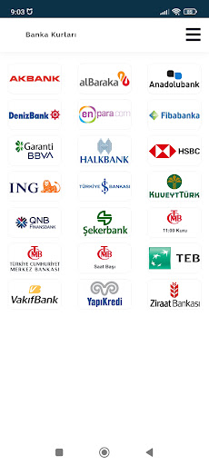 Banka Döviz Kurları ekran görüntüsü