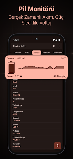 Cihaz Bilgisi: CPU'su, Sistem ekran görüntüsü