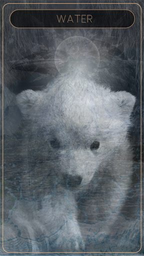 Shamanic Oracle Cards ekran görüntüsü