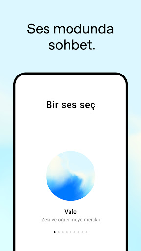 ChatGPT ekran görüntüsü