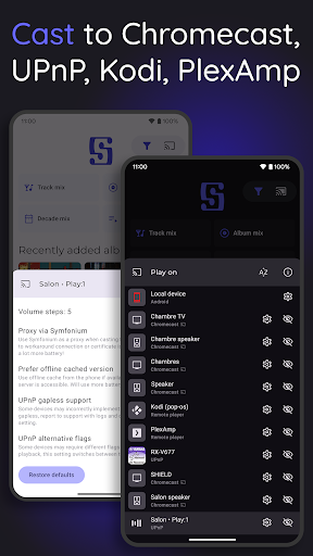 Symfonium: Music player & cast ekran görüntüsü