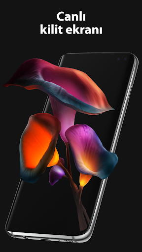 Pixel 4D Canlı Duvar Kağıtları ekran görüntüsü