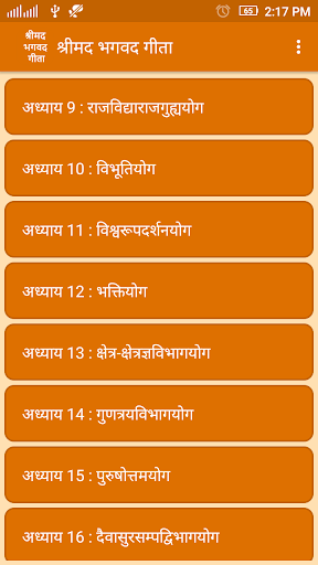 Bhagavad Gita in Hindi ekran görüntüsü