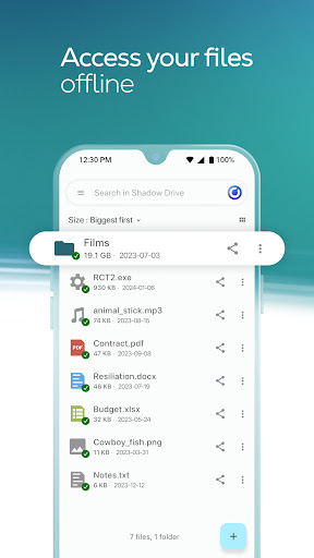 Shadow Drive ekran görüntüsü