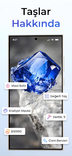 Değerli taş Analizi - Kaya ID ekran görüntüsü