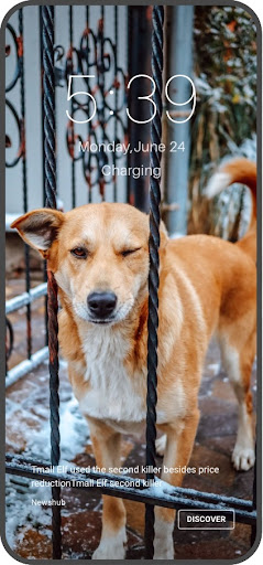 Coolpad Daily Wallpaper ekran görüntüsü