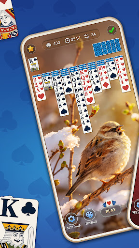 Günlük Örümcek Solitaire ekran görüntüsü