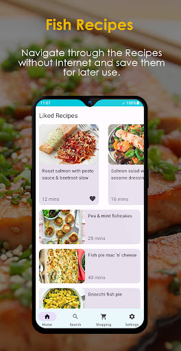 Fish Recipes Offline ekran görüntüsü