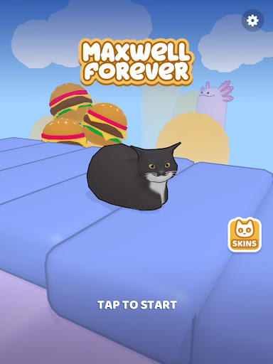 Maxwell Forever - Cat Game ekran görüntüsü