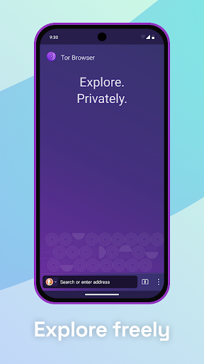 Tor Browser ekran görüntüsü