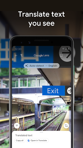 Google Lens ekran görüntüsü