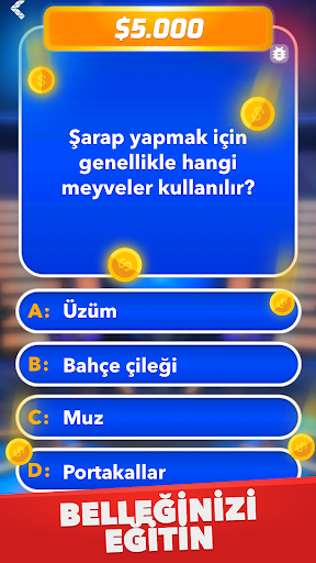Milyoner - Türkçe Test Oyunu ekran görüntüsü