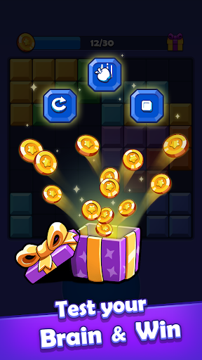 Block Rival Blast ekran görüntüsü