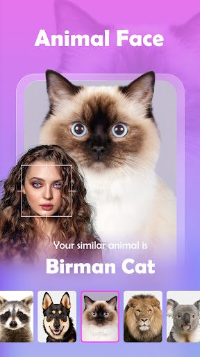 CoCola: Aging & AI Stylist ekran görüntüsü