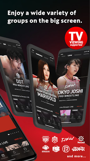 WRESTLE UNIVERSE - Streaming ekran görüntüsü