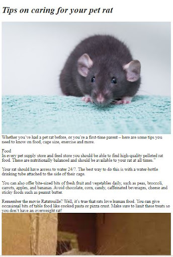 Pet Rat Care Guide ekran görüntüsü