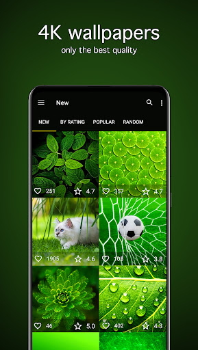 Green Wallpapers 4K ekran görüntüsü
