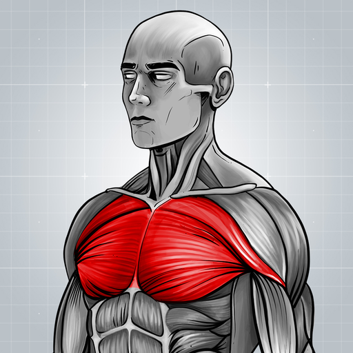 Fitness Hareketleri Ağırsağlam
