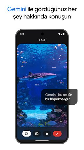 Google Gemini ekran görüntüsü