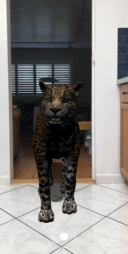 Animal Safari AR ekran görüntüsü