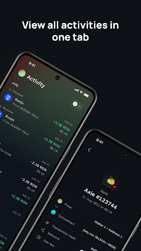 Ronin Wallet ekran görüntüsü